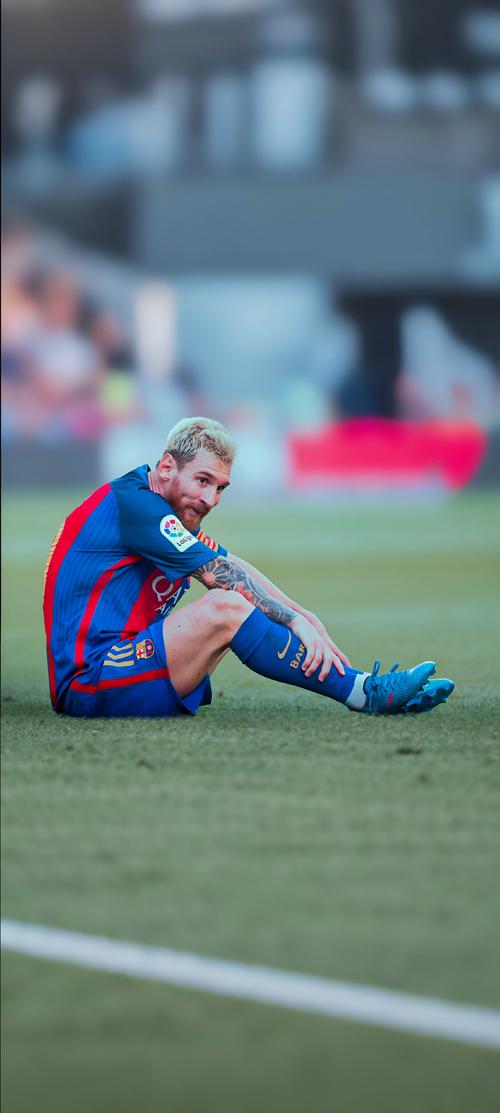 质量观赛体